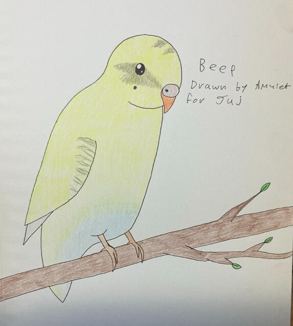 Beep Beep